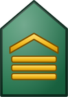 Sargento 1º